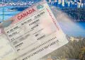 quy trình xin visa thăm thân Canada