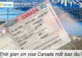 Thời gian xin visa Canada mất bao lâu?