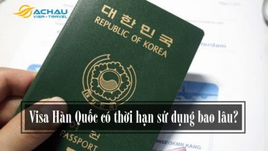 Visa Hàn Quốc có thời hạn sử dụng bao lâu?
