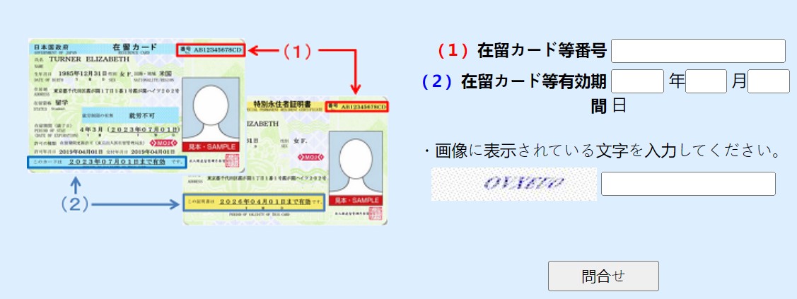 Hướng dẫn cách tra cứu kết quả visa Nhật Bản mới nhất 1