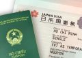 Hướng dẫn cách tra cứu kết quả visa Nhật Bản mới nhất
